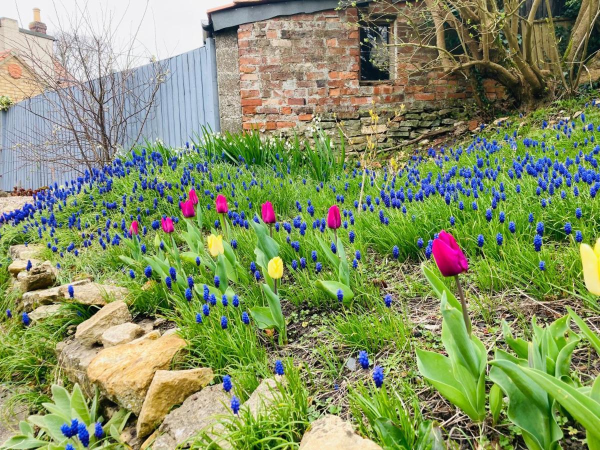 Cosy Cottage Four Miles From Lincoln City Centre ภายนอก รูปภาพ